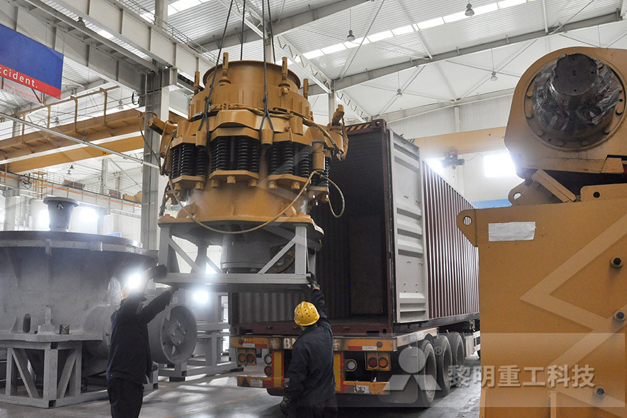 double roll mill crusher design